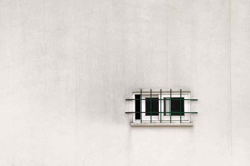 Vertical Wall Garden