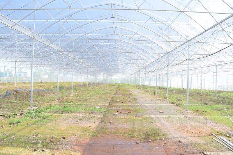 LED Grow Lights