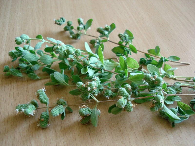 Vertical Herb Garden